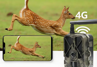 WIFI version infrared selfie camera for capturing wild animals in the wild for b